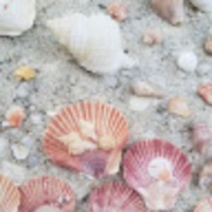 Meet your Posher, Deanna